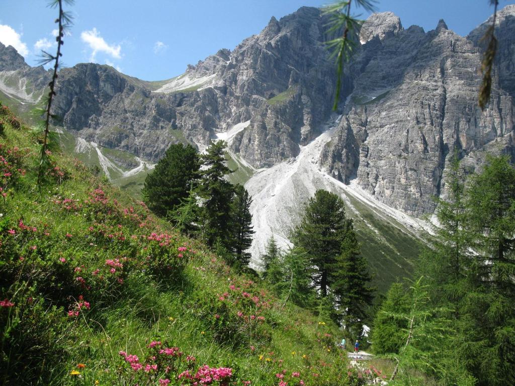 Hotel Pension Bergwelt Neustift im Stubaital Exterior foto